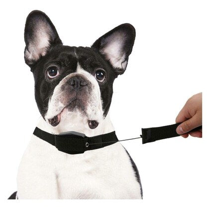 Povodac i ogrlica na izvlačenje Lucky leash - Azijashop