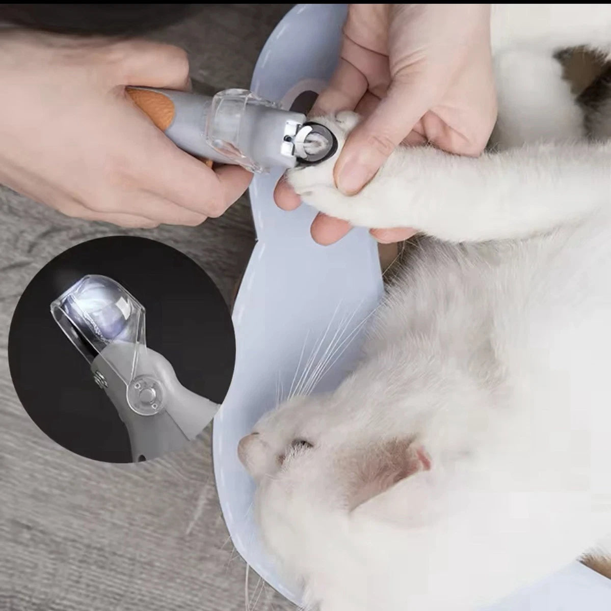 Pet Comfy LED Grickalica Azijashop