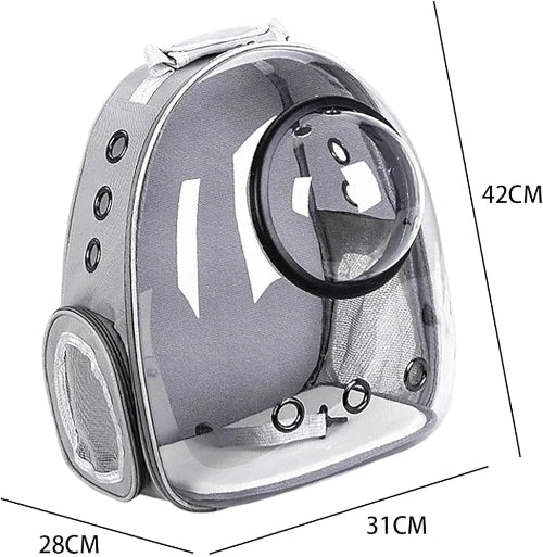Prikaz sivog ranca za macke sa providnim prednjim delom u obliku kapsule i naznacenim dimenzijama. Visina ranca je 42 cm, sirina je 31 cm, a dubina je 28 cm.