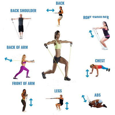 Primeri vezbi sa elasticnim trakama za sve misicne grupe. Trening ruku ledja ramena stomaka i nogu kod kuce.