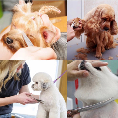 Profesionalni grooming pasa, sisanje dlake na usima, trimovanje kandzi i oblikovanje krzna pudlice i drugih rasa.