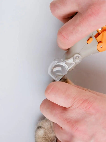 Pet Comfy LED Grickalica Azijashop