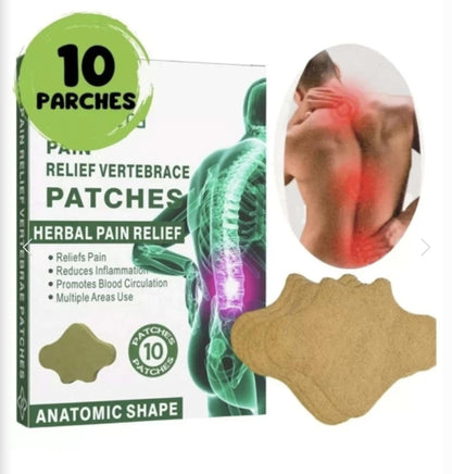 Herbalni Flasteri Protiv Bolova