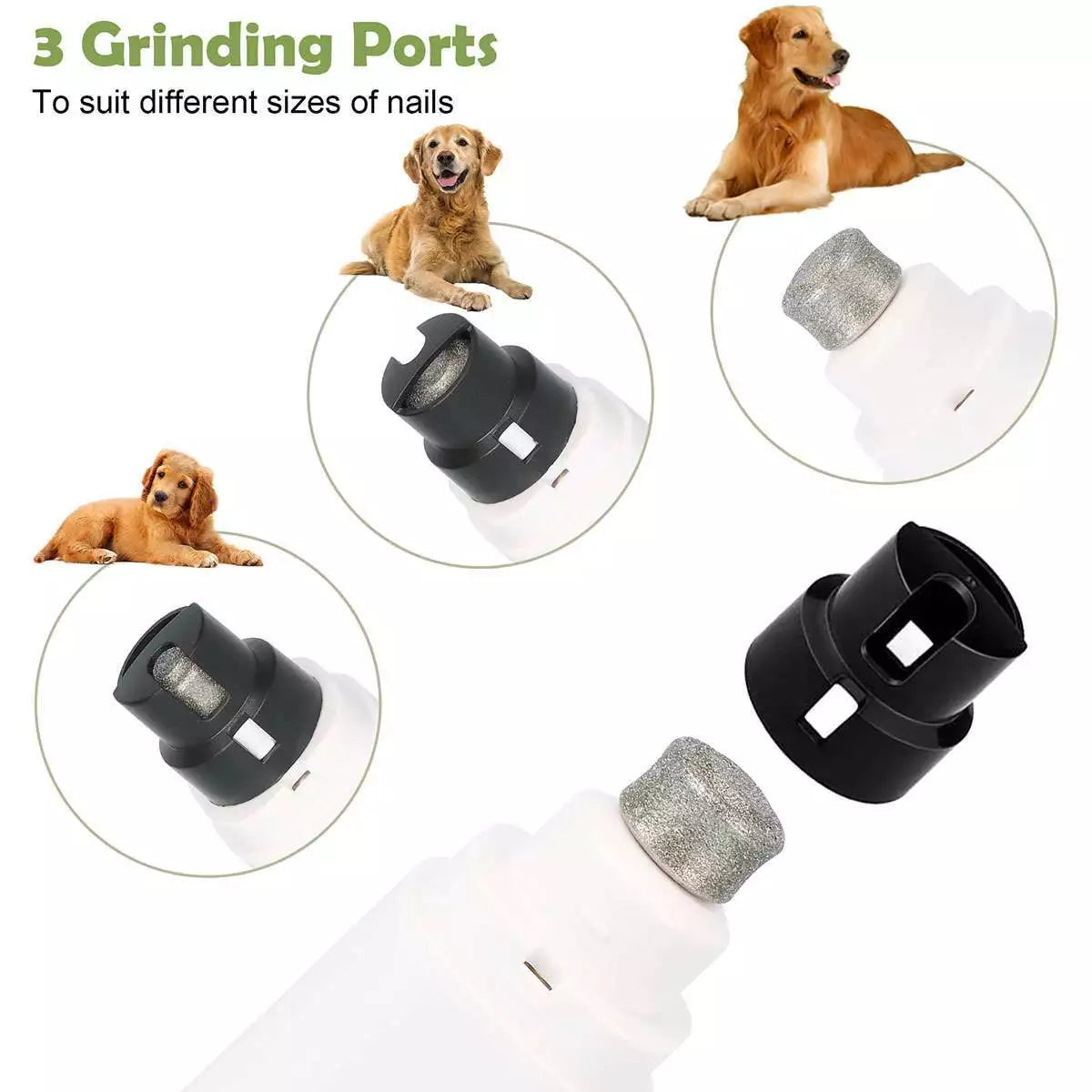 Turbo Turpija kandzi za vase ljubimce - Azijashop