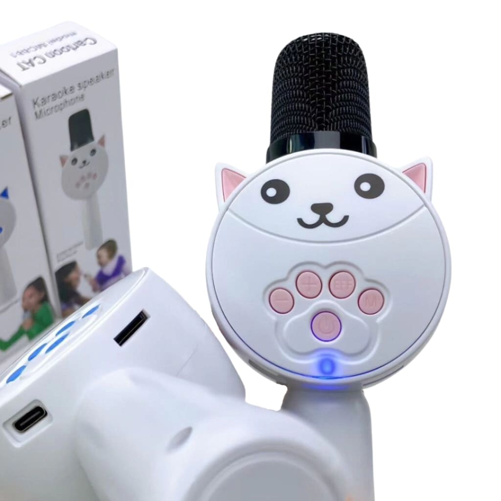 Deciji mikrofon sa ulazom za memorijsku karticu i usb slotom za punjenje na dnu drske uredjaja