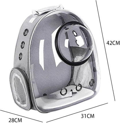 Prikaz sivog ranca za macke sa providnim prednjim delom u obliku kapsule i naznacenim dimenzijama. Visina ranca je 42 cm, sirina je 31 cm, a dubina je 28 cm.