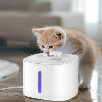 Maca pije vodu iz fontane. Moderan i praktican dozator vode, osigurava stalan dotok svezine za vaseg ljubimca.