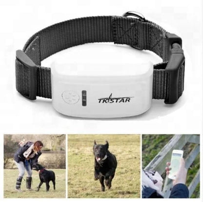 Pracenje psa putem GPS ogrlice i mobilne aplikacije