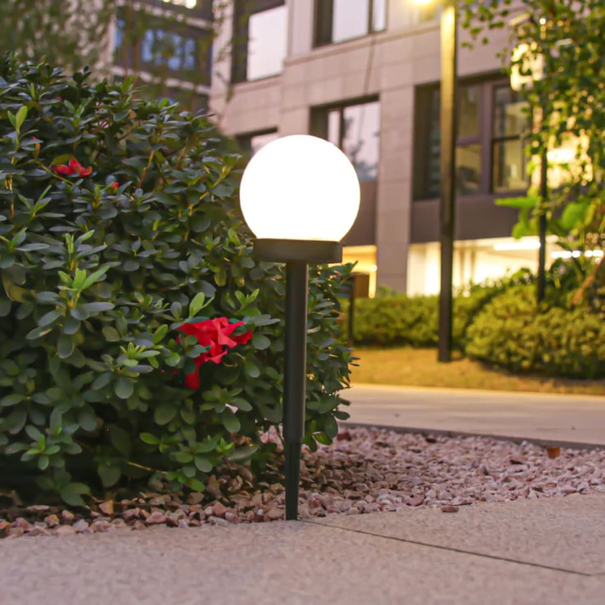 Jedna okrugla solarna lampa koja svetli toplim sjajem postavljena u dvorisni kamenjar pored zelenog žbuna sa crvenim cvećem