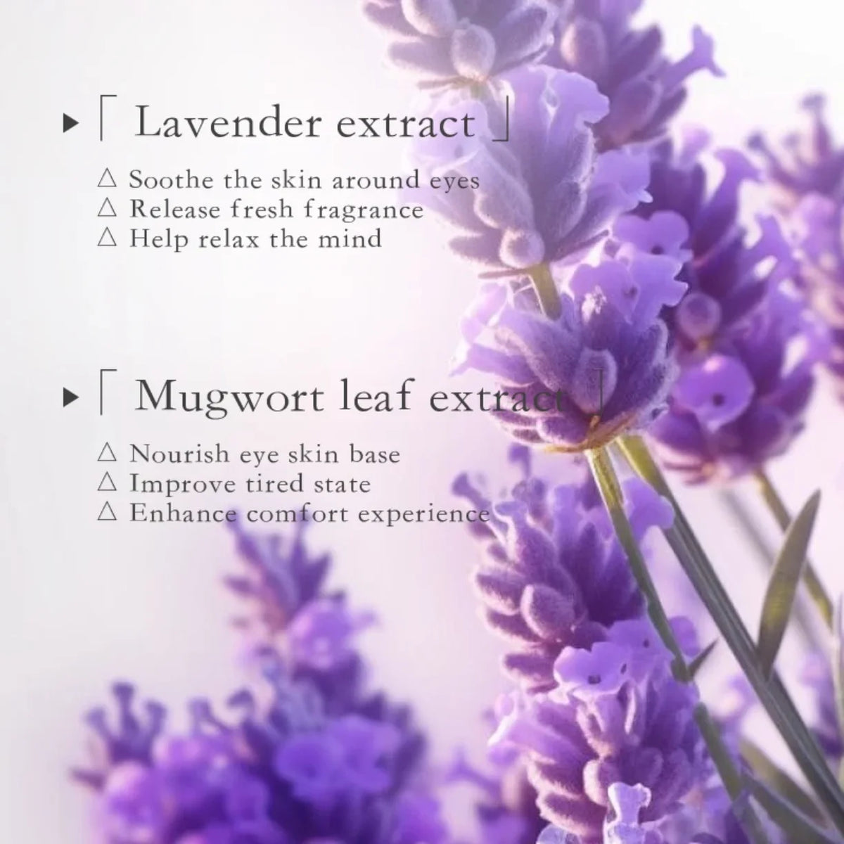 Lavanda sa opisom dejstva lavandinog i pelinovog ekstrakta za kozu oko ociju