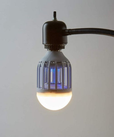 LED sijalica sa UV svetlom, detalj. Prikazana u grlu, emituje plavo svetlo za privlacenje insekata.