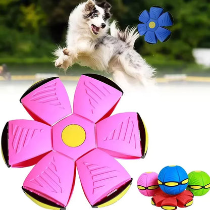 Roze leteca lopta sa senzorom za igru sa decom i psima
