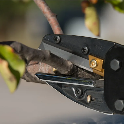 Multicut 3 u 1 makaze za secenje debelih grana i orezivanje voca i vinove loze u basti