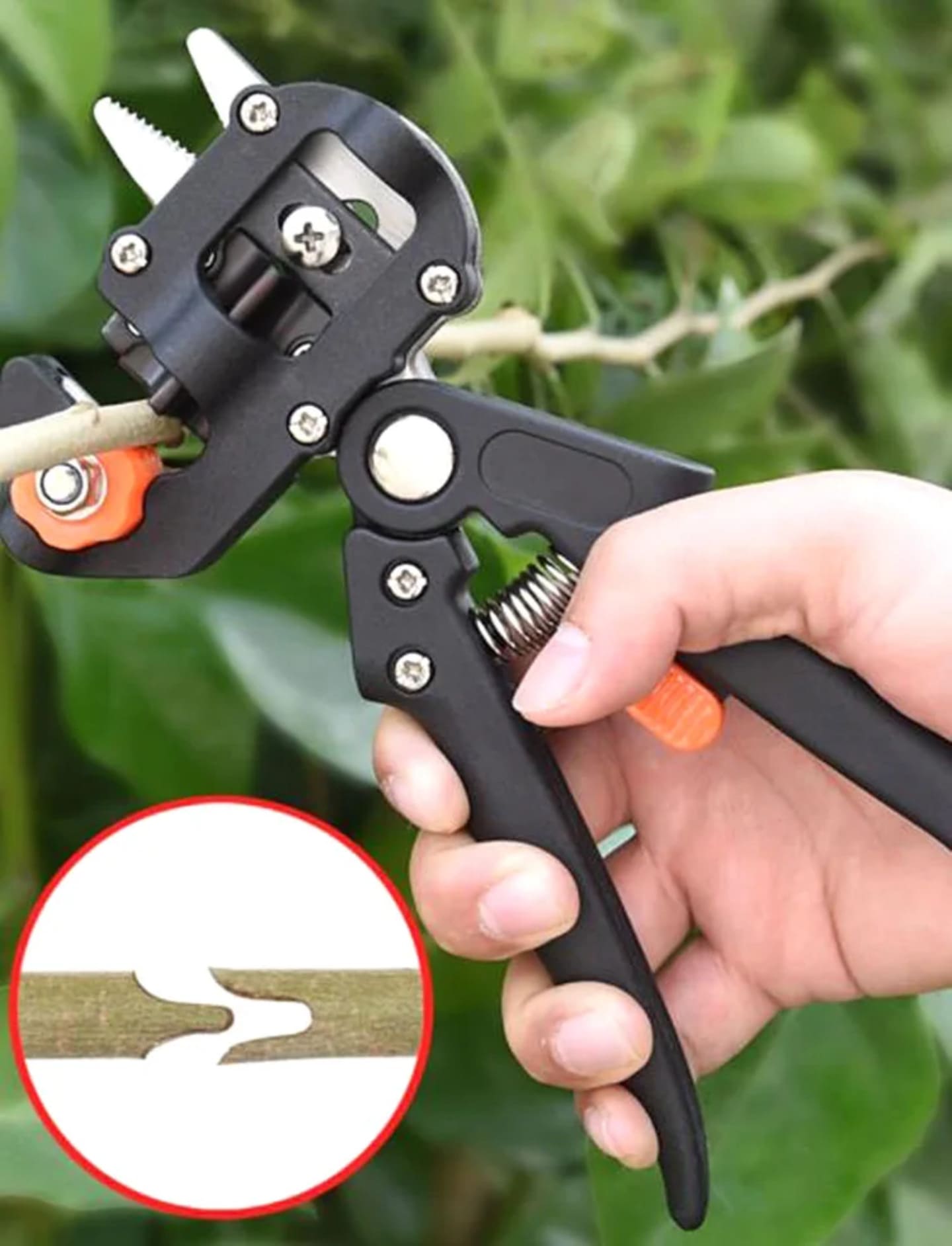 Precizan rez grane pomocu makaza za kalemljenje biljaka