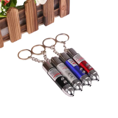 set mini laserskih pokazivaca privezaka sa tasterima i nalepnicama