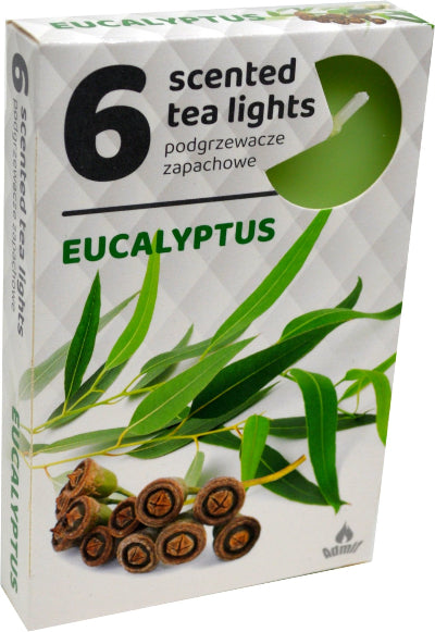 Mirisljave tealight svecice eukaliptus 6 komada aromaticne male svecice miris eukaliptusa za osvezenje dekoraciju prodaja Srbija.
