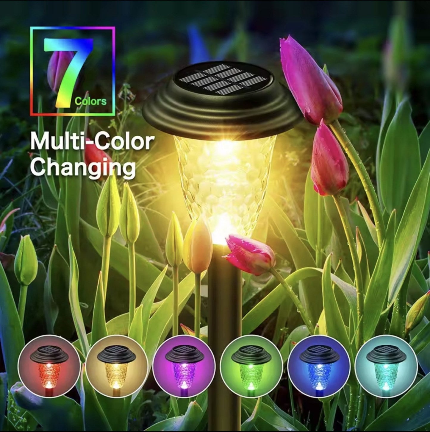 Solarne Bastenske Lampe - 8 Komada-RGB Azijashop