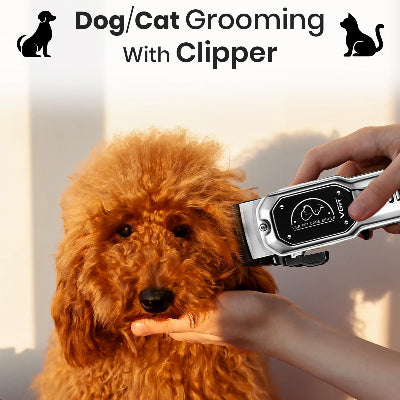 Sisanje dlake psa pomocu VGR masinice za sisanje kucnih ljubimaca. Prikazuje se jednostavna upotreba na psu.